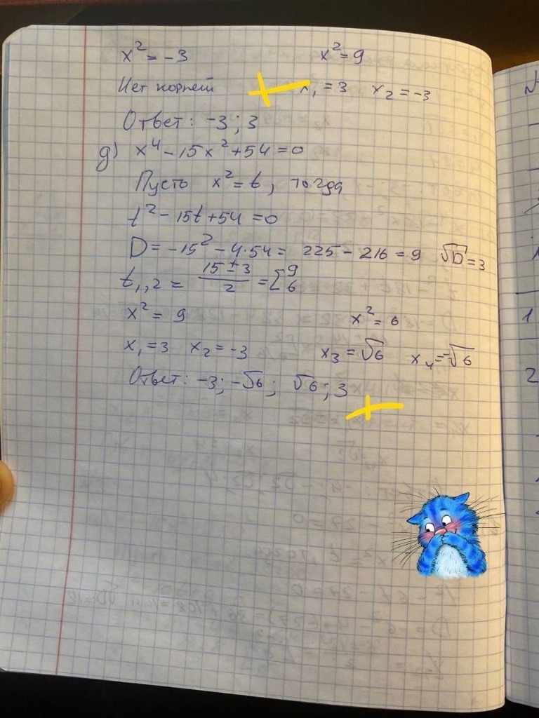 Биквадратное уравнение, решённое заменой переменной, отмечено плюсом